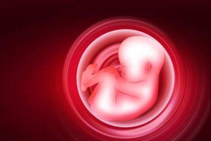 Sex before frozen embryo transfer
