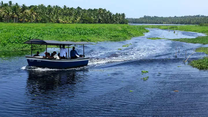 <p>Kerala</p>