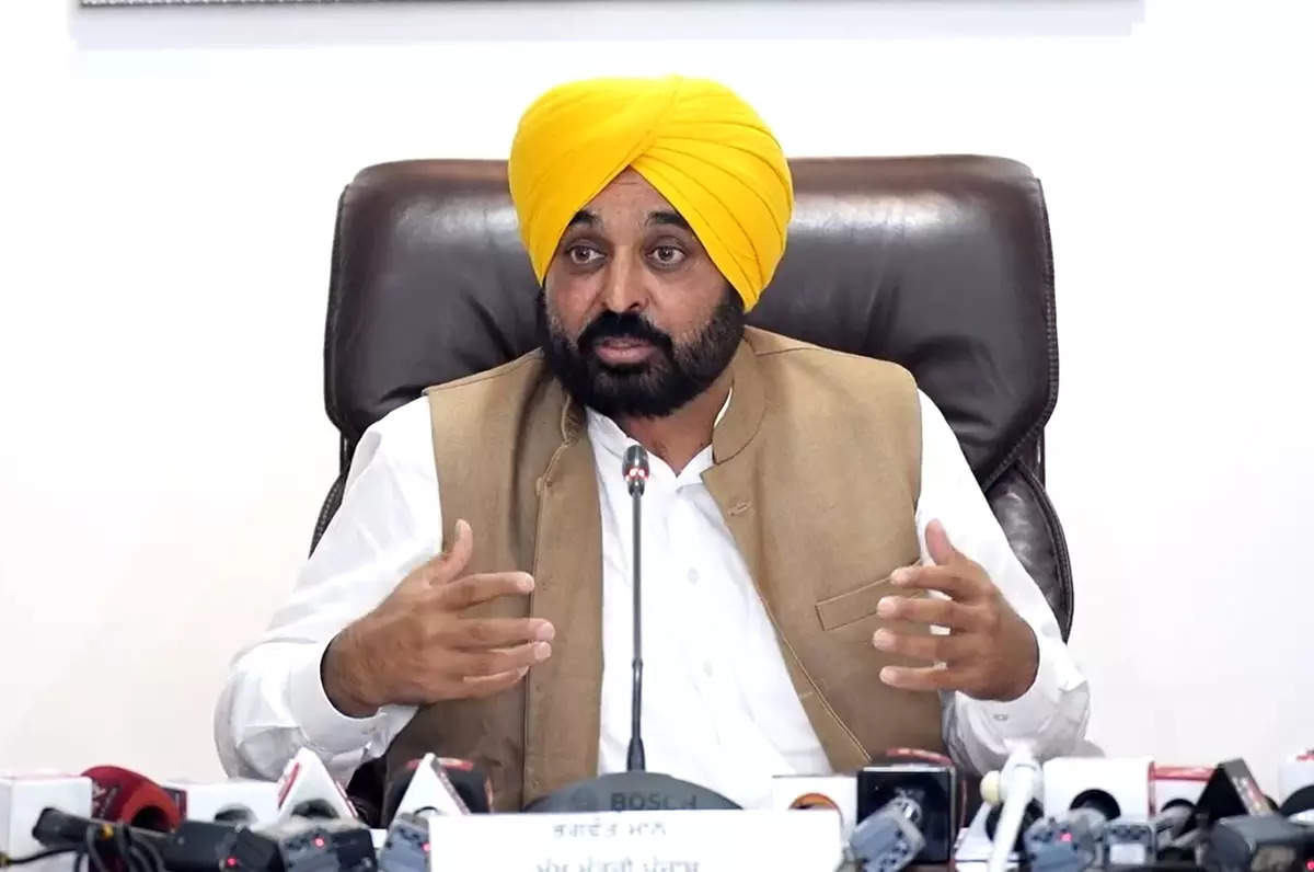 <p>Punjab Chief Minister Bhagwant Mann </p>