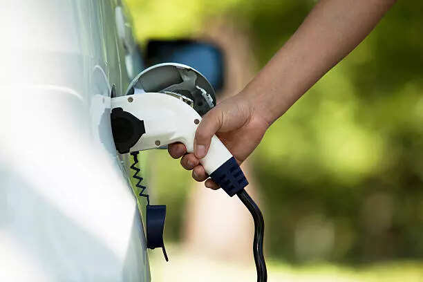 <p>The minister also instructed officials of the Housing and Urban Department to formulate a policy for making provision of EV charging facilities in upcoming malls and housing societies.</p>