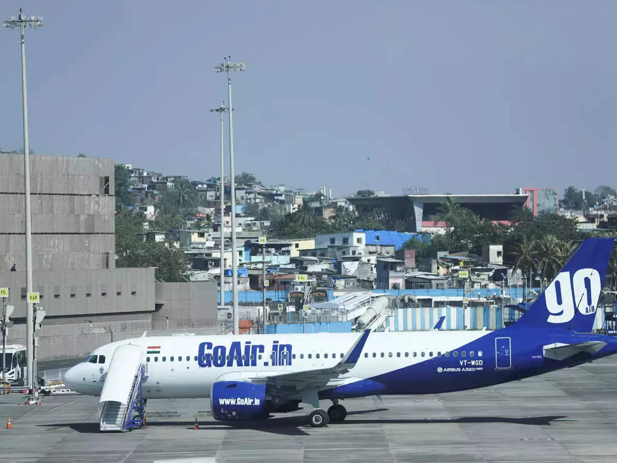 <p>Expression of Interest sought in Go Airlines possible sale</p>