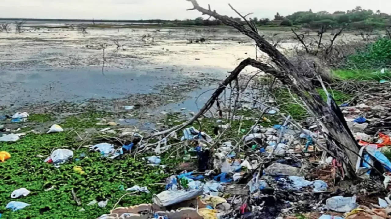 <p>Gandipet Lake turned into a garbage dump</p>