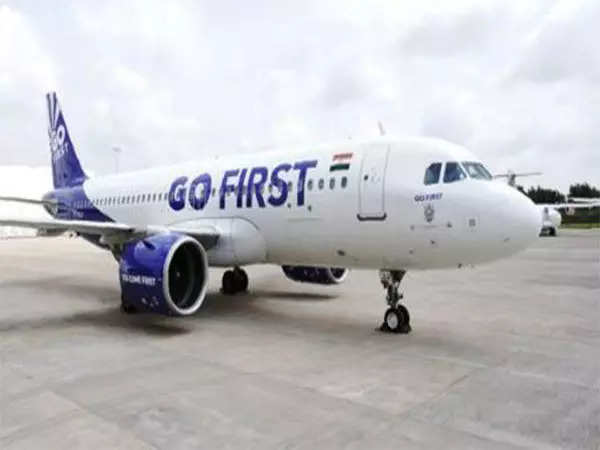 <p>Go First aircraft <br /></p>