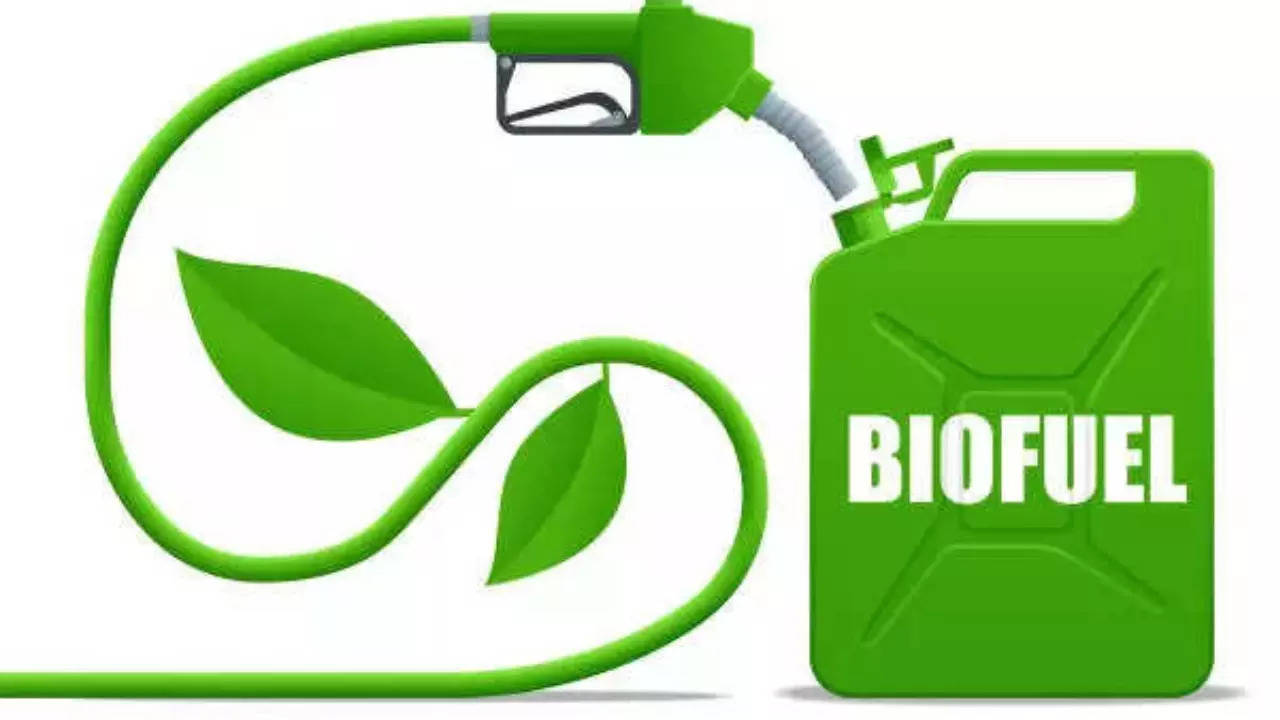 <p><b><i>B</i></b><b><i>iofuel can be a great alternative to conventional fuels in India, though it is not yet fully developed. </i></b></p>