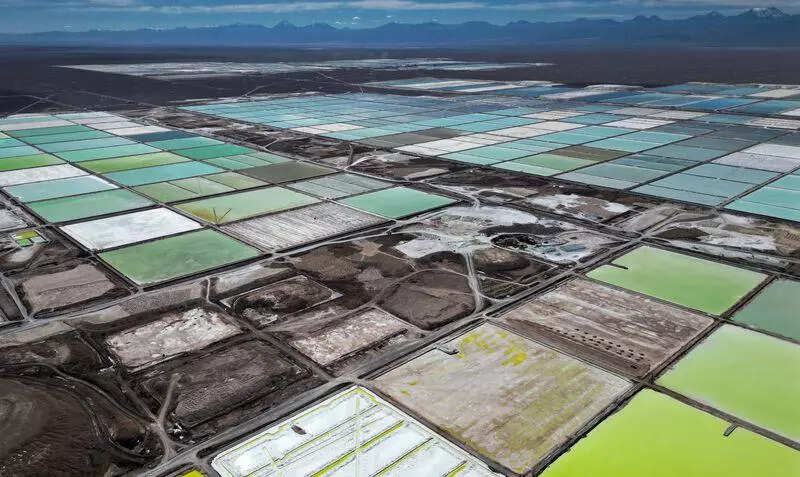 <p>In a call in March following its fourth-quarter results, CEO Ricardo Rodriguez said the company was set to hit production of 200,000-210,000 tons this year.</p>