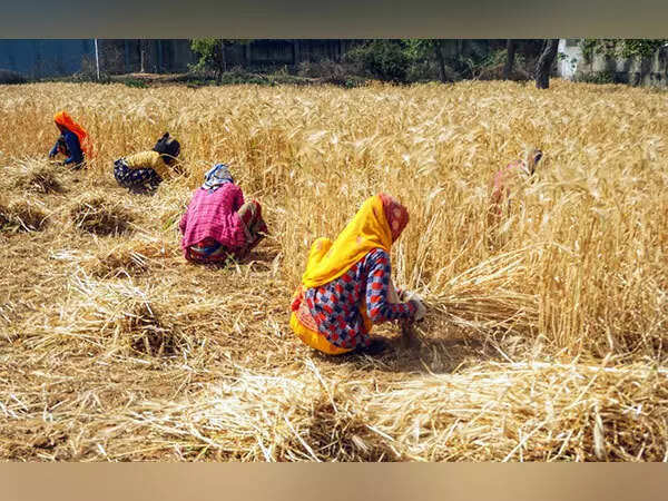 <p>Normal monsoon, adequate inputs augur well for India's kharif crop: Finance Ministry</p>