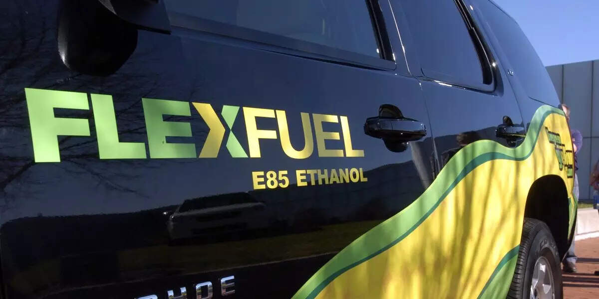 <p>The manifold benefits of ethanol-based fuel are significant and far-reaching. These blends herald an epoch of environmental mindfulness, dramatically curtailing greenhouse gas emissions, lessening dependence on fossil fuels, and elevating air quality. </p>