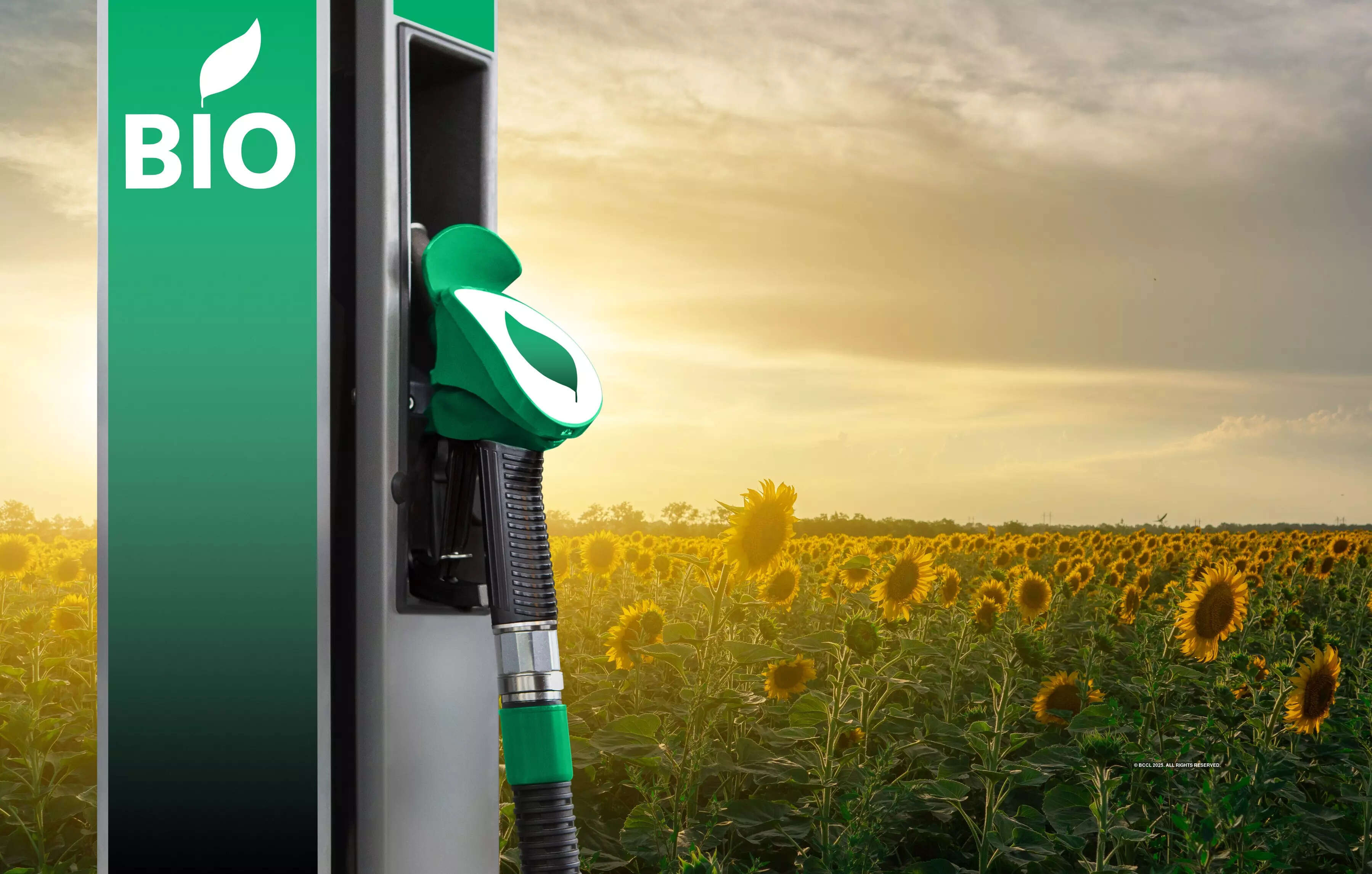 <p>Biodiesel is an eco-friendly alternative diesel fuel prepared from domestic renewable sources like vegetable oils (both edible and non-edible) and animal fats.</p>