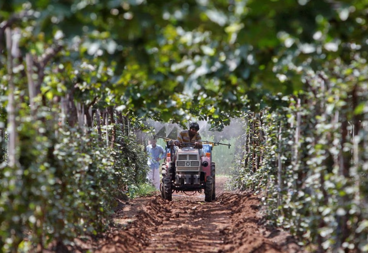 <p>Tractor purchases, meanwhile, fell 10% in September, as per FADA data, and have been mostly flat or lower since the start of fiscal 2024.</p>