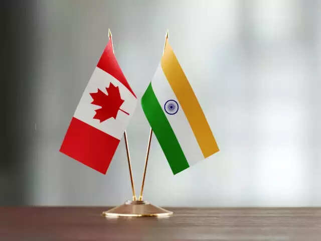 e tourist visa india suspended canada