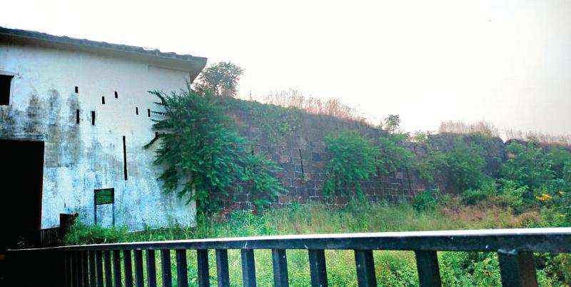 <p>Plants are growing on the fort’s walls and it is feared that this could affect the structure</p>
