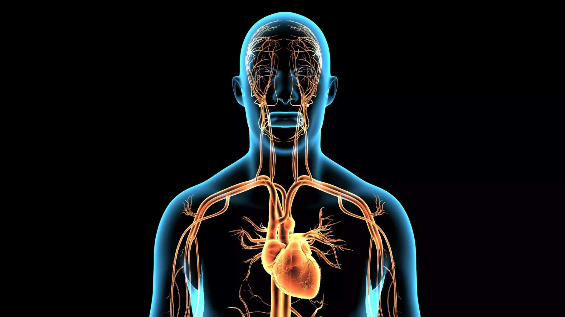 

<p>New Delhi, Nov 12 (IANS) Parkinson’s disease (PD) is a serious illness, affecting more than 10 million people worldwide. Tremors, excessive shaking of the entire body or limbs, stiffness, slowed walking, and difficulty in movement are its primary manifestations.</p>
<p>“><figcaption class=