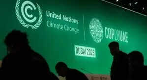 <p>Carbon offsets are billed as a way for big polluters like oil companies to make up for their CO2 emissions by supporting green projects like those that claim to safeguard forests.</p>