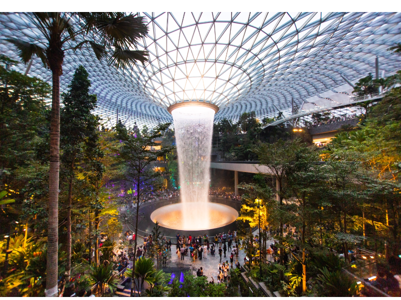<p>Changi Airport Forest Bathing</p>