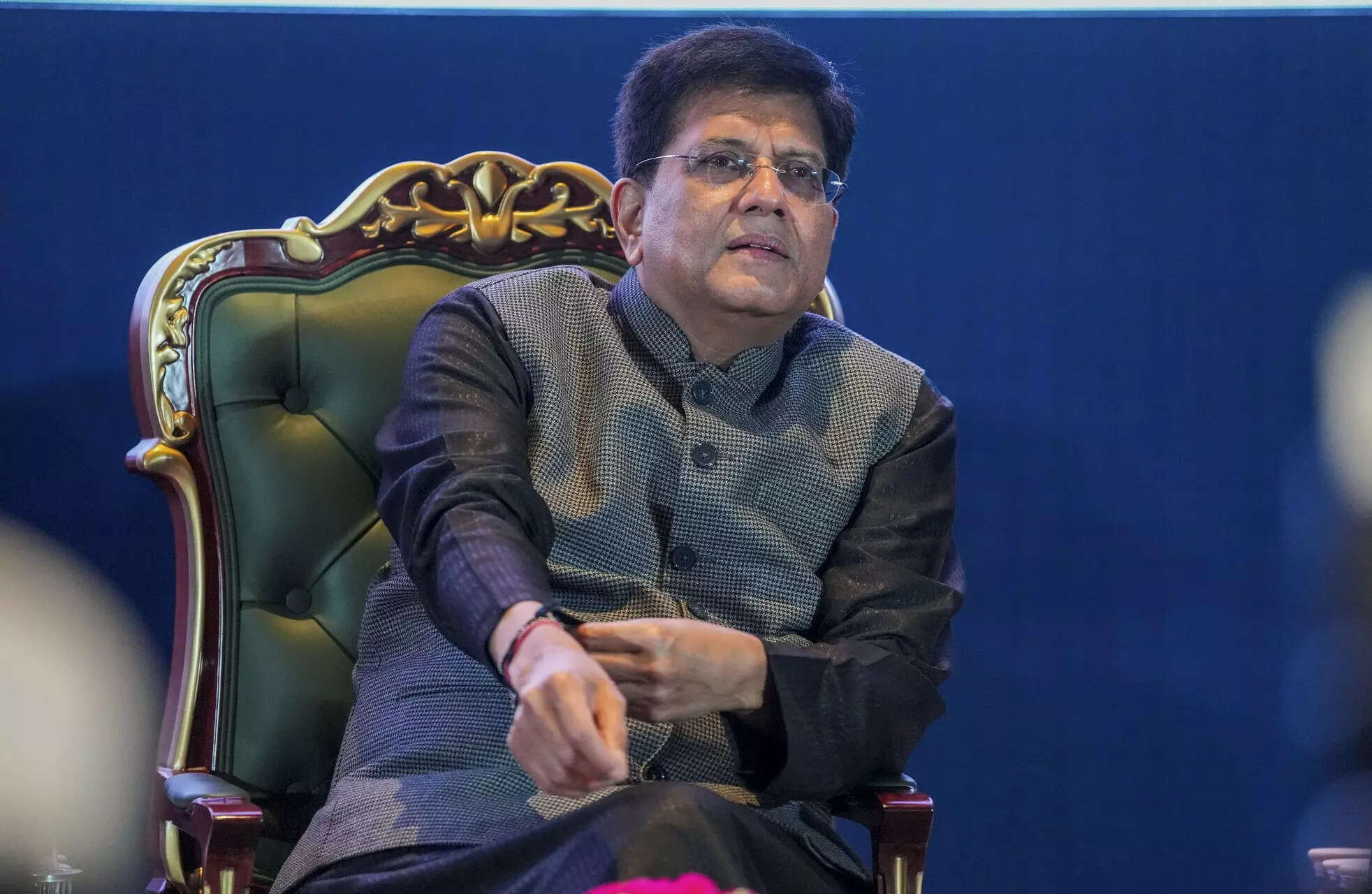 <p>Piyush Goyal, Commerce and Industry Minister </p>