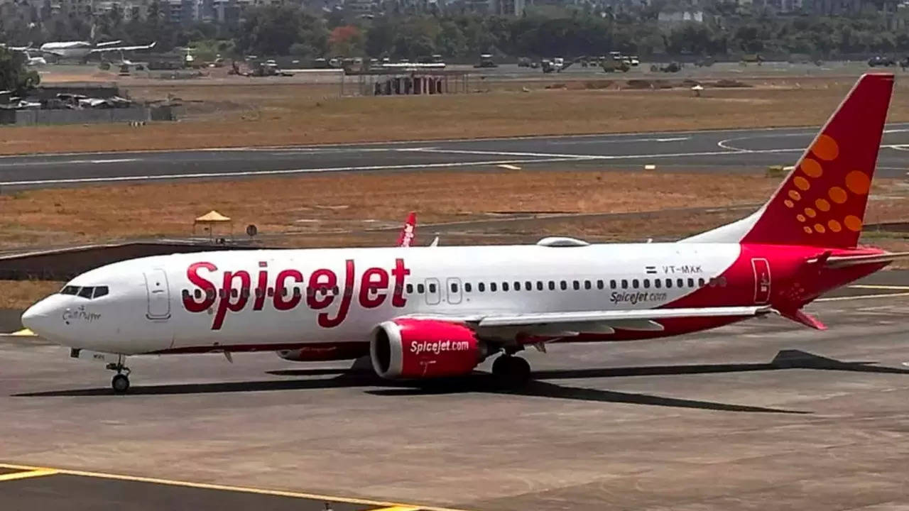 <p>SpiceJet Boeing 737</p>
