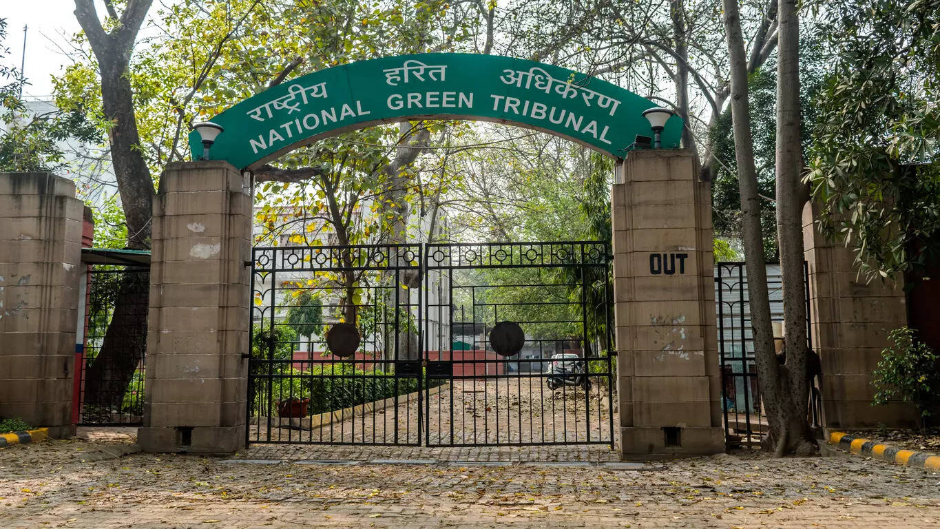 <p>The NGT observed that a statutory body like the NHAI is not expected to proceed in the execution of its work in flagrant violation of laws, particularly regarding the matter of environment, environmental laws and environmental norms.</p>