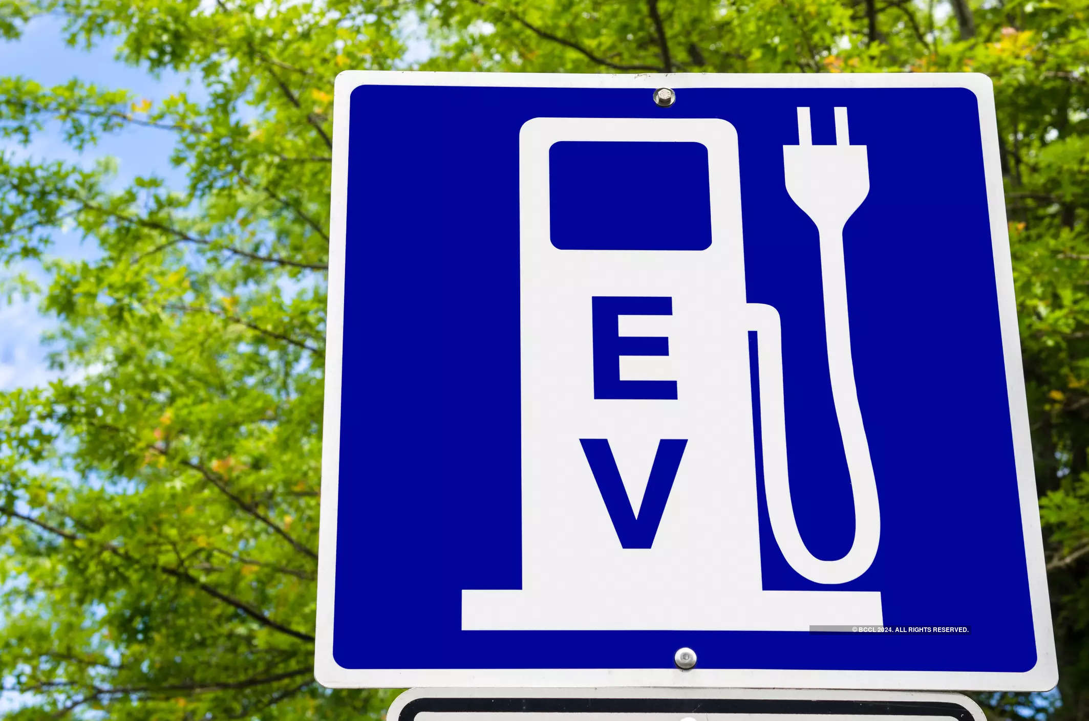 <p>The extension comes as a relief for EV companies that were facing challenges meeting the initial deadline. </p>