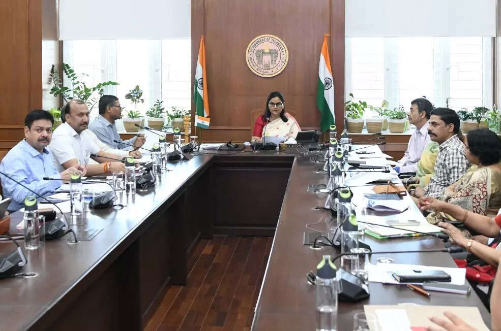 <p>Santhi Kumari directed the departments to complete all the compliances envisaged under EoDB by the end of July.</p>