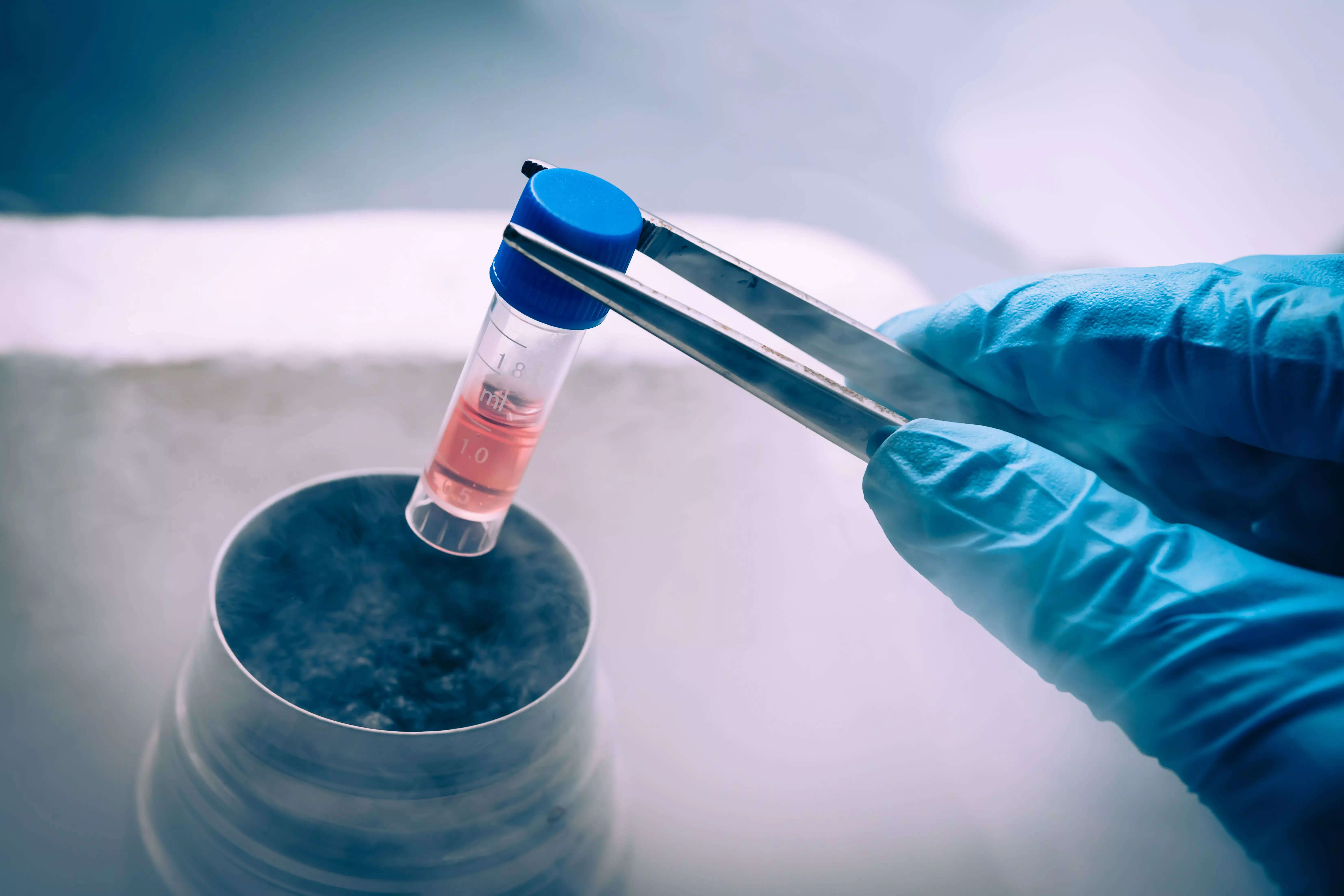 Women Embrace Egg Freezing: 40% Surge Amid Quest For Ideal Partner