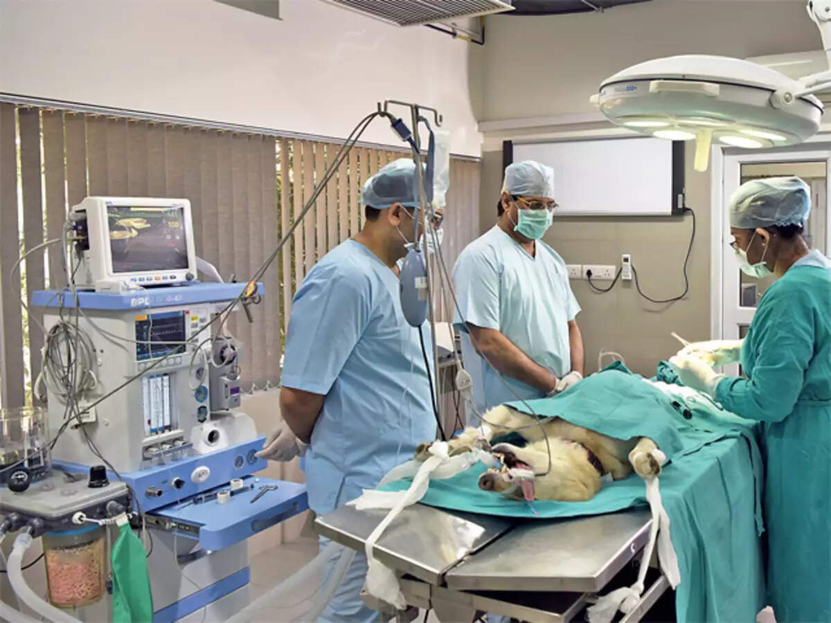 कुत्ते की हृदय शल्य चिकित्सा: कुत्तों के लिए हृदय शल्य चिकित्सा;  यह एशिया में पहली बार है!