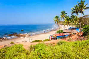 <p>Panaji, June 5 (IANS) To prevent domestic tourists from cooking or staying in the open areas and defecating on the beaches, a local panchayat of the coastal state has decided to set up five checkpoints in its jurisdiction to check hotel bookings of the guests before their entry.</p>