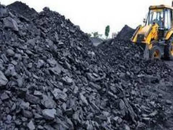 <p>Medium and low-grade thermal coal are abundantly available domestically.</p>
