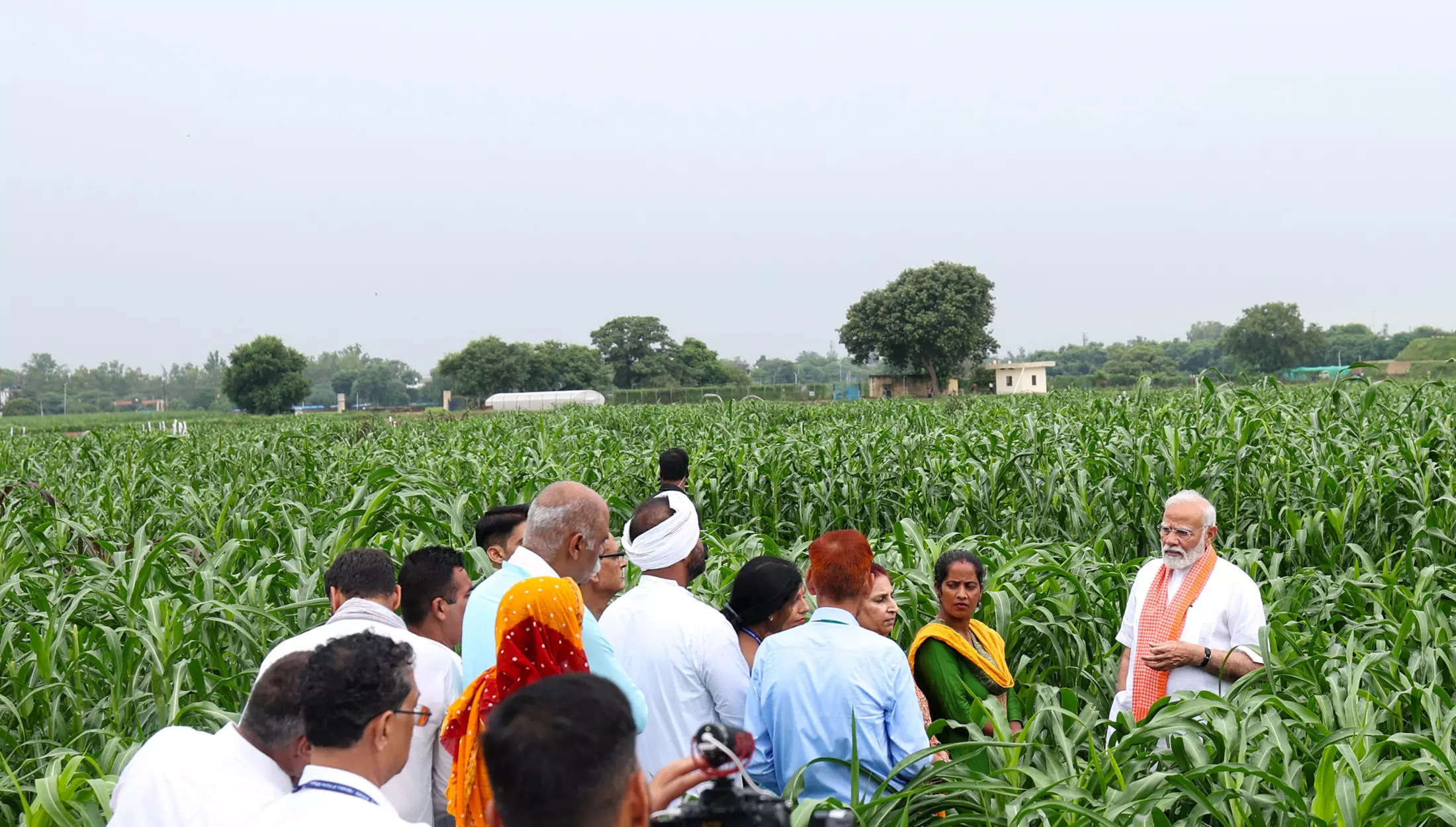 सरकारी योजना की जानकारी पीएम आशा योजना के लिए सरकार द्वारा 35000 करोड़ रुपये आवंटित किए गए