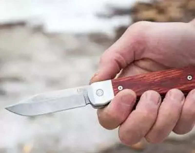 Rajasthan govt bans carrying scissors, knives to schools after Udaipur  incident, ET Education