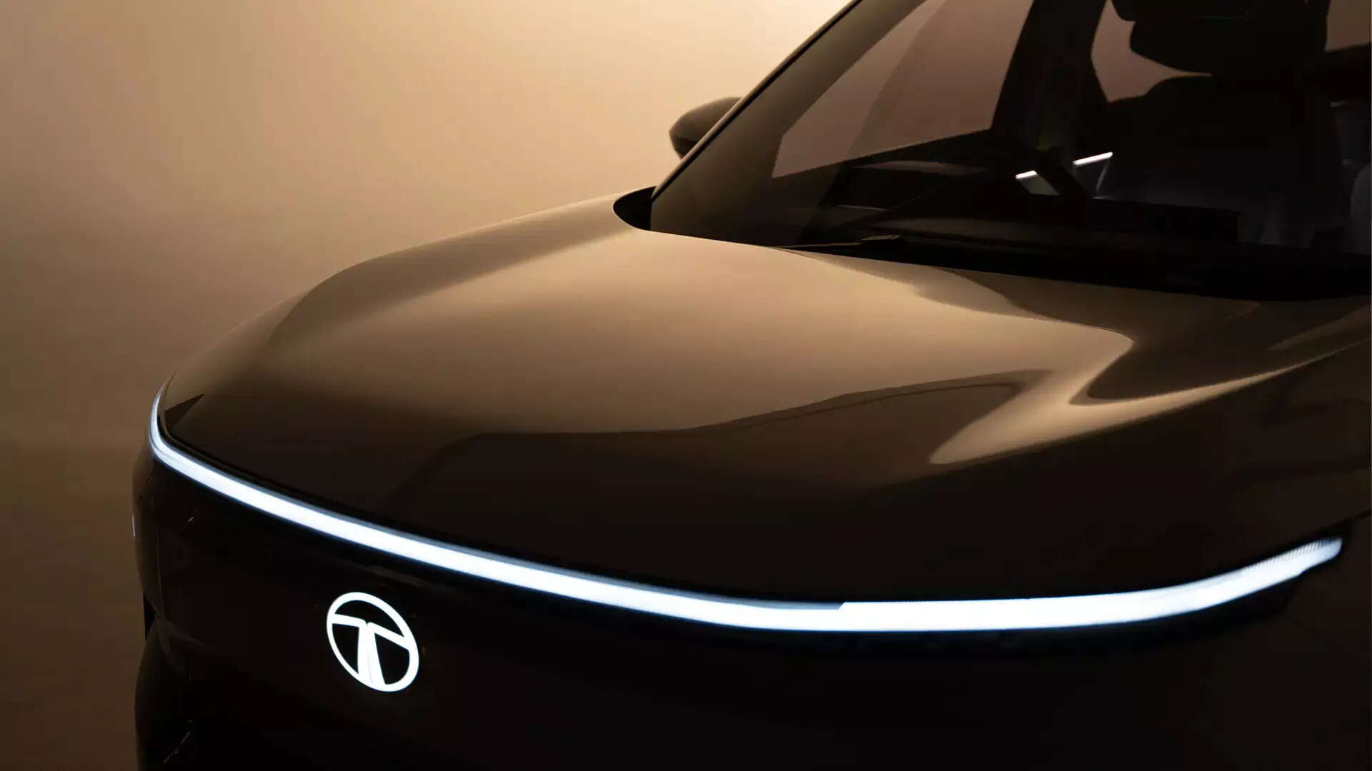 <p>In the passenger vehicle segment, including electric vehicles (EVs), sales dipped by 3%, totaling 44,486 units compared to 45,933 units in the same period last year. </p>