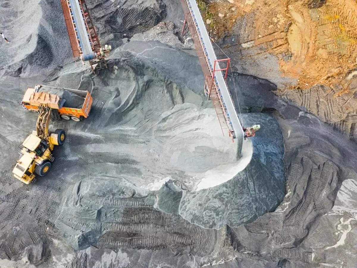<p>Campaigners say a large lithium mine here will destroy the plant's habitat and could lead to its extinction.</p>