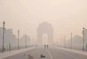 <p> National Green Tribunal observed that it reflected a lapse by the authorities in preventing the dip in air quality in NCR.</p>