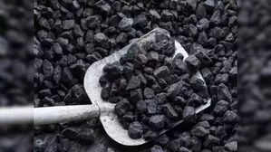 <p>Coal will remain a central component of the country's energy landscape for the coming decades</p>