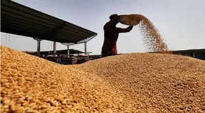 <p>The DCS-based crop area estimation has been done for the states of Uttar Pradesh, Madhya Pradesh, Gujarat, and Odisha wherein 100 per cent of districts are covered under DCS in Kharif 2024.</p>