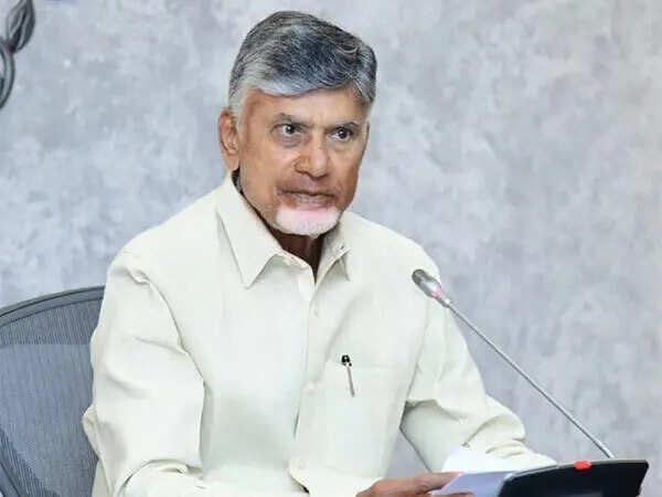 <p>CM Chandrababu Naidu</p>