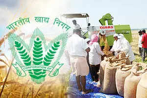 <p>FCI plays a pivotal role in ensuring food security by procurement of food grains at minimum support price (MSP), maintenance of strategic food grain stocks, distribution of food grains for welfare measure and stabilization of food grain prices in the market.</p>