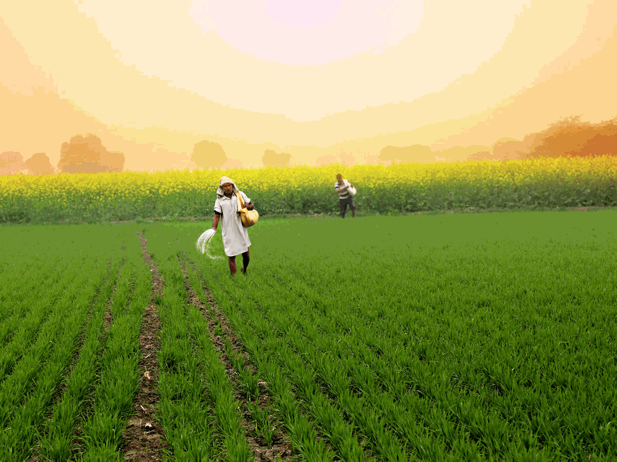 <p>SarvaGram provides multiple loan offerings and farm mechanisation facilities.</p>