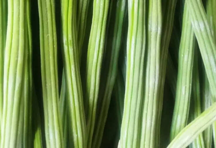 <p>A pilot project has been initiated under the aegis of Department of Health and Family Welfare, Uttar Pradesh to popularize the use of Moringa Oliefera (<em>sahjan</em>) as one of the health initiative by awareness generation and community sensitization, with special focus to women and adolescent in three district of Uttar Pradesh namely, Varanasi Jhansi and Gorakhpur by SIFPSA.</p>