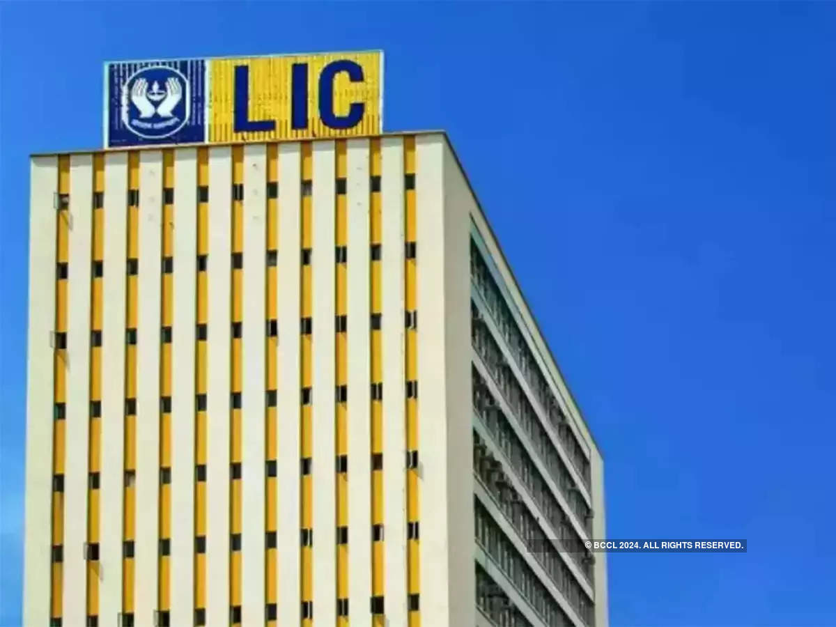 <p>LIC experienced the largest decline in the value of its holding</p>