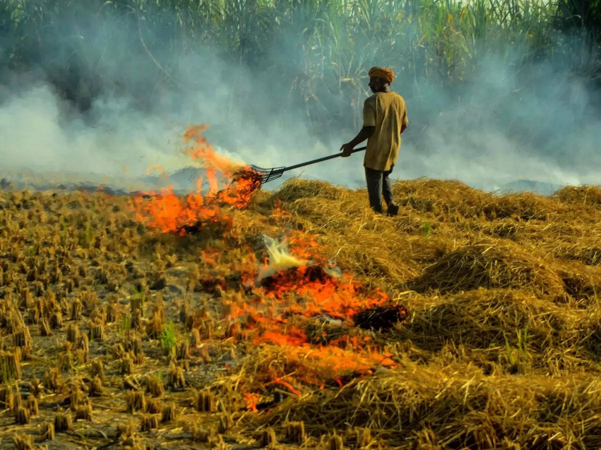 <p>By reducing stubble burning and encouraging the shift from water-intensive crops like paddy, the government can lower its spending on water management and electricity generation.</p>