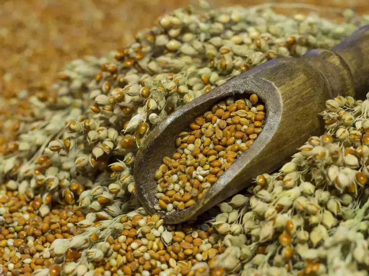 <p>Policies aimed at promoting millets are essential for their mainstreaming. Governments must integrate millets into agricultural subsidies, nutrition programs, and school feeding schemes. </p>