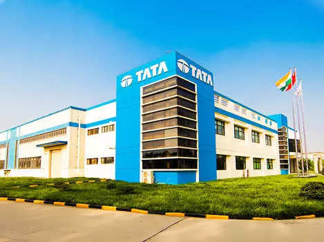 

<p>While the two-wheeler segment has seen significant growth, Tata AutoComp holds a relatively smaller market share in this category.</p>
<p>“/><figcaption class=