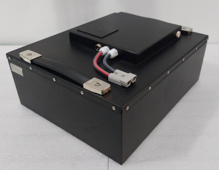 <p>The leasing program seeks to alleviate the financial burden associated with battery ownership. </p>