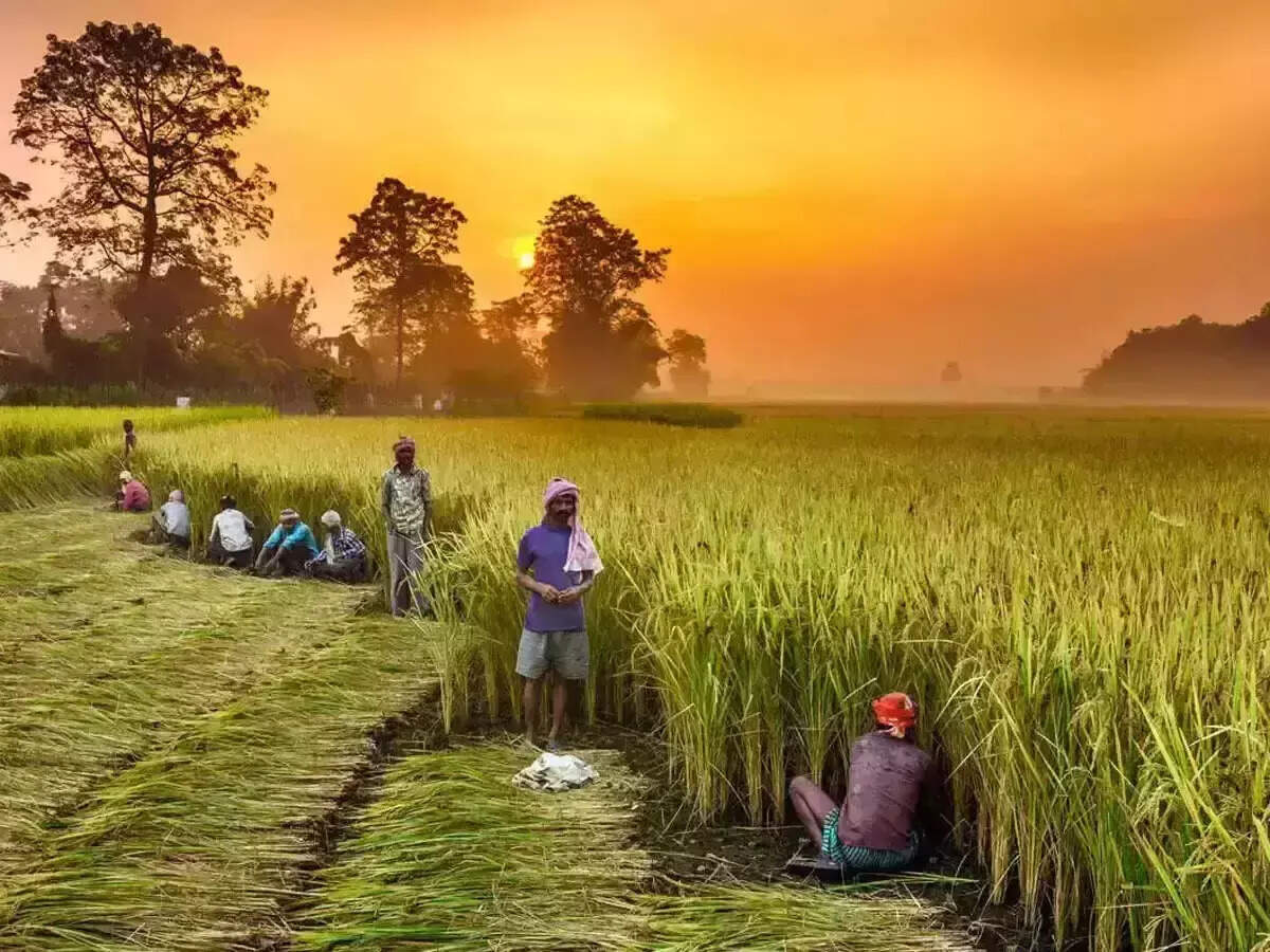 <p>NABARD has been implementing a scheme for computerization of 67,930 functional PACS across India for improving the latter’s efficiency, internal controls, and transparency in operations.<br></p>