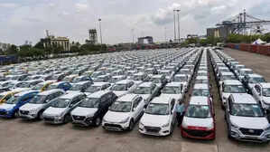 <p>He also mentioned India for its high tariff barriers.</p>