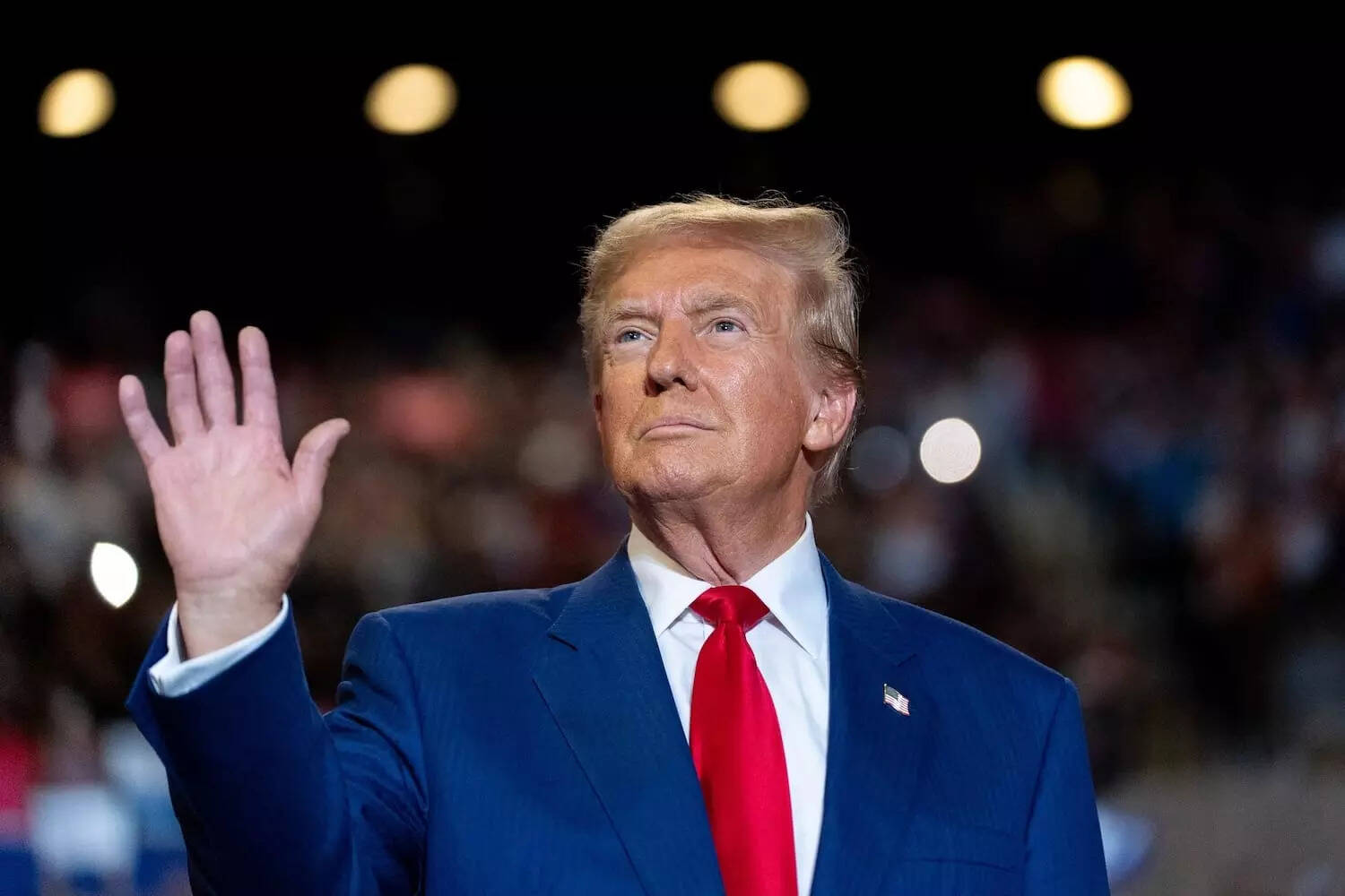 <p>Donald Trump</p>