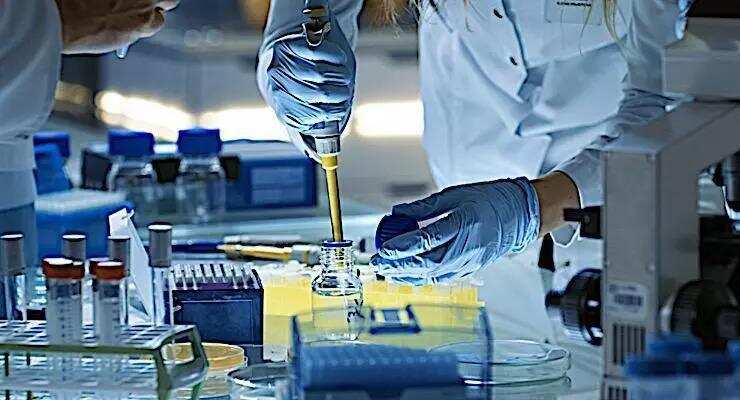 <p>Industry insiders pushed for more business-friendly policies in the world's fifth-largest economy, which is heavily dependent on China for drug-related raw materials.</p>