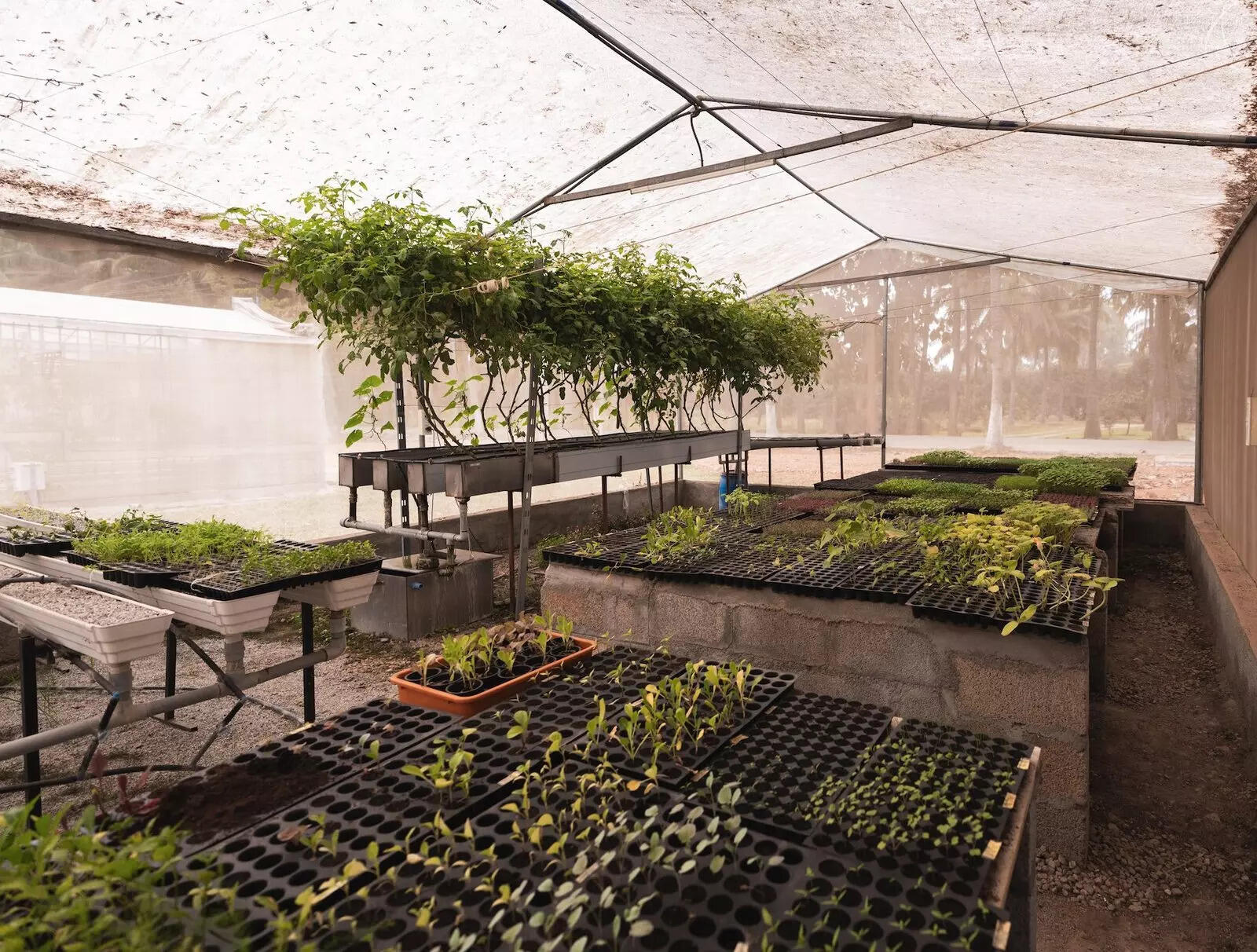 <p>Farmlore also grows some of its own produce within the farm that it is situated in. </p>