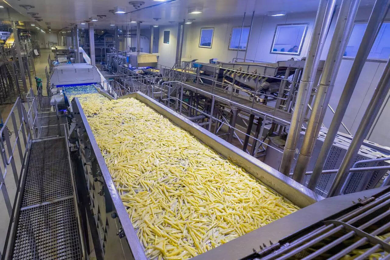 <p>The french fies line at HyFun Food plant in Gujarat.</p>