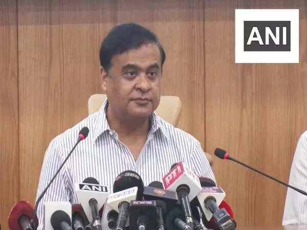 <p>Assam Chief Minister Himanta Biswa Sarma</p>